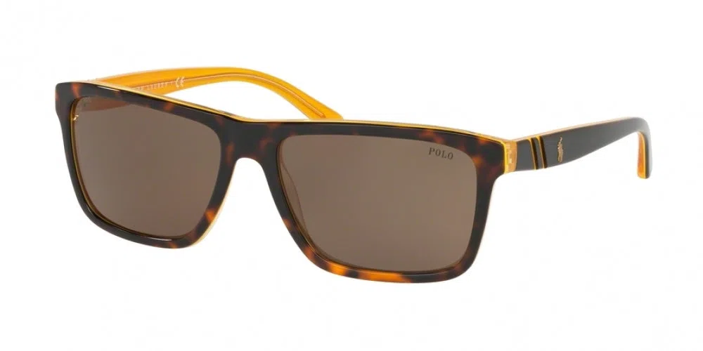 Polo 4153 Sunglasses - view 4